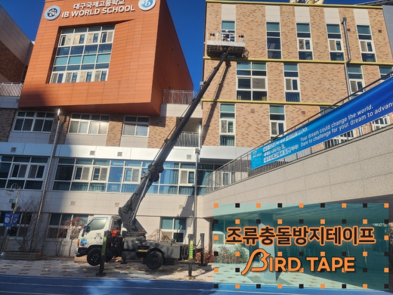 네이쳐세이버 이미지