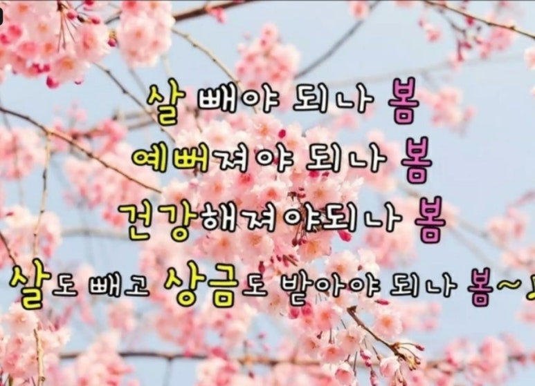스마일점핑다이어트 이미지