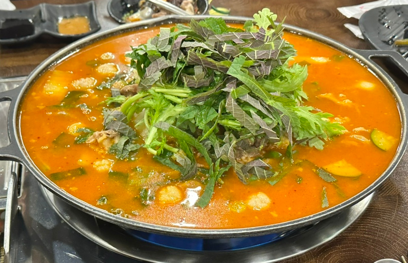 우신정 이미지