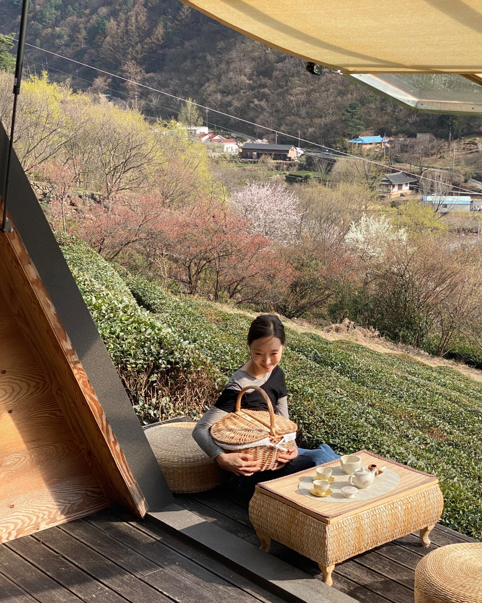 해성다원 이미지