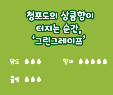 그린제이 이미지