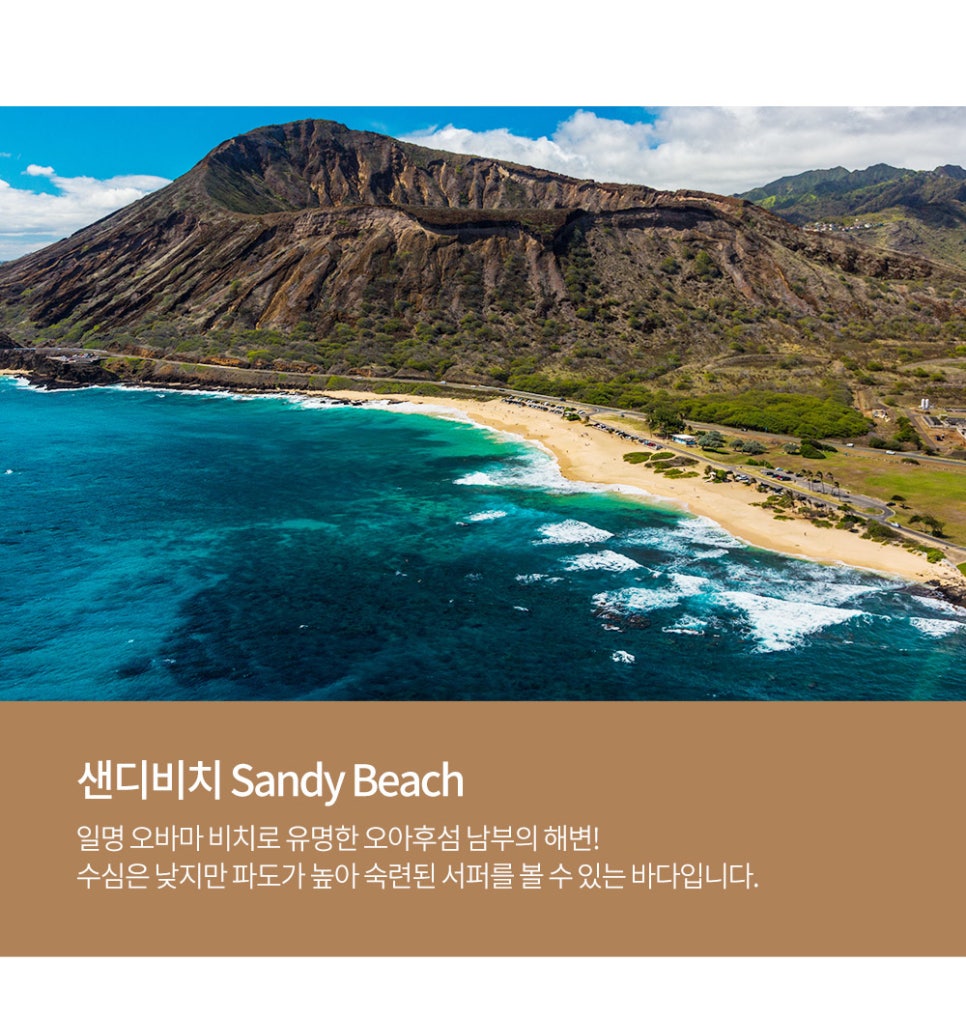 알로하 이미지
