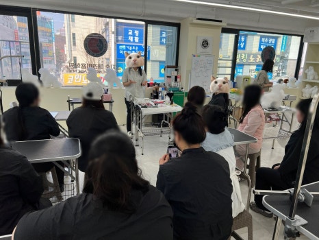 김지순애견미용학원 이미지