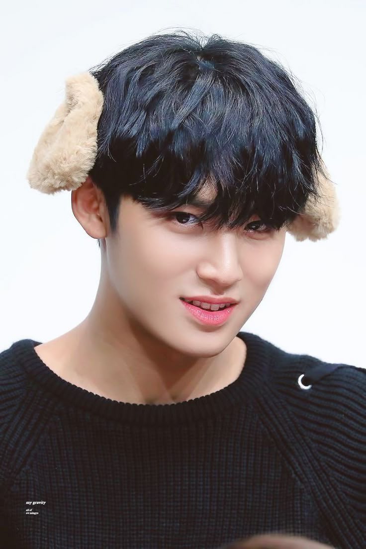 헤어포스 이미지