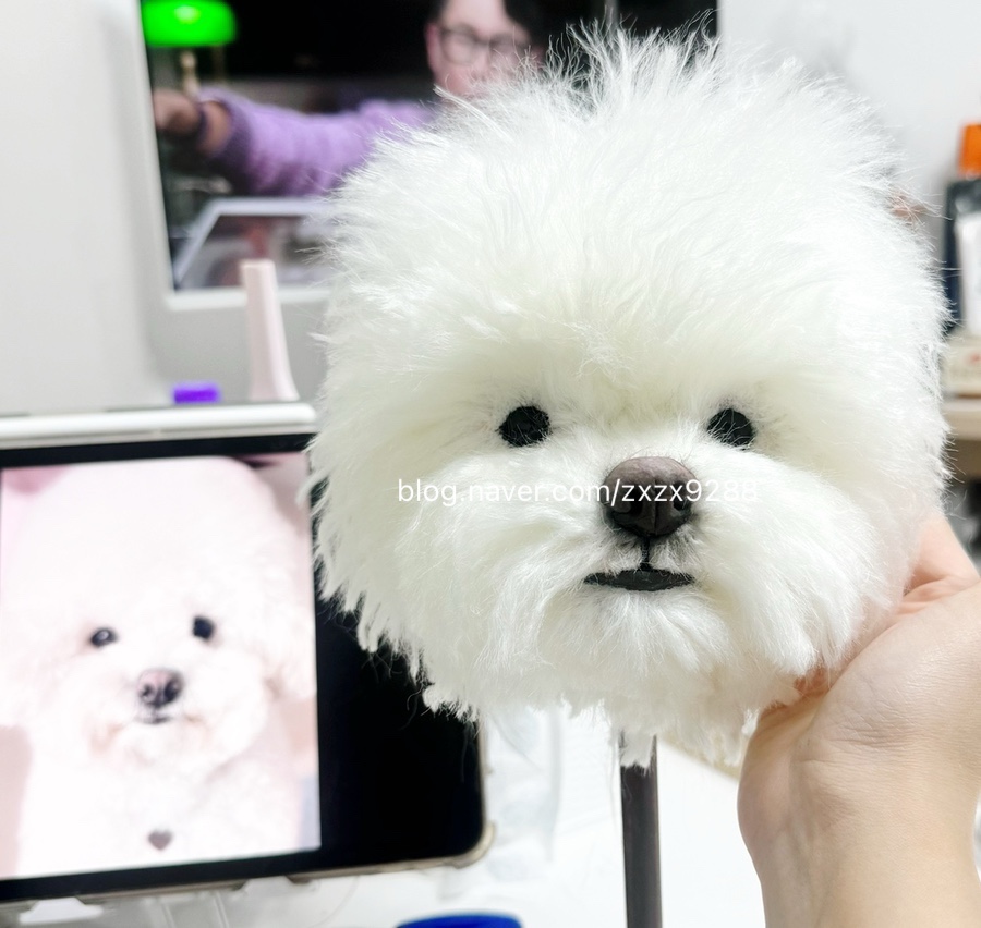 해드림이벤트 이미지