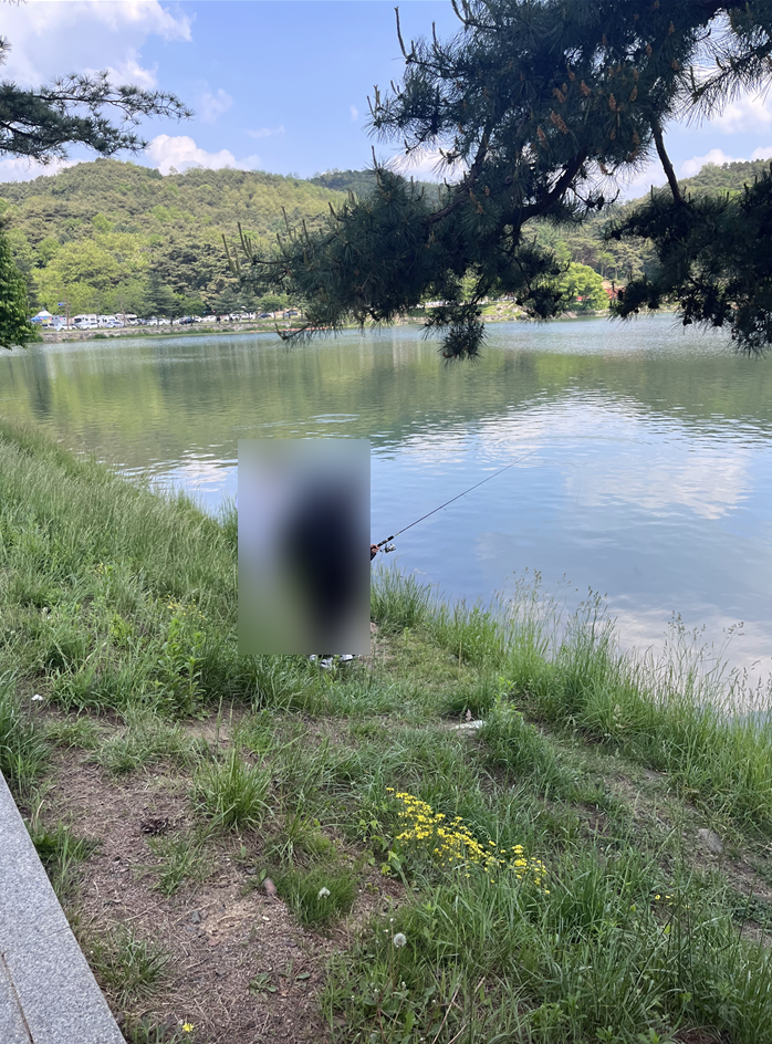 바이킹푸드 이미지