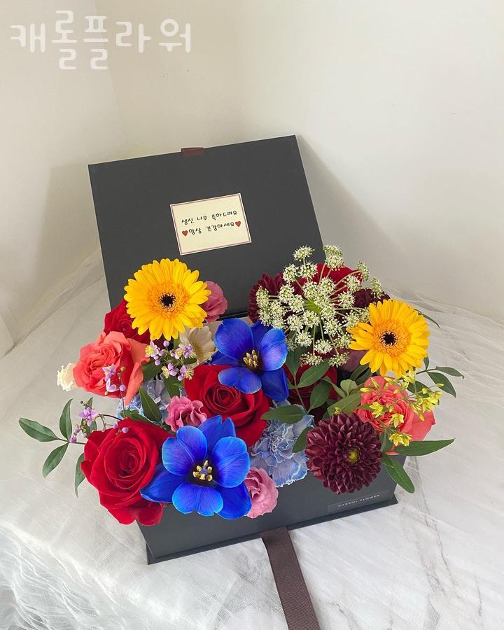캐롤플라워 이미지