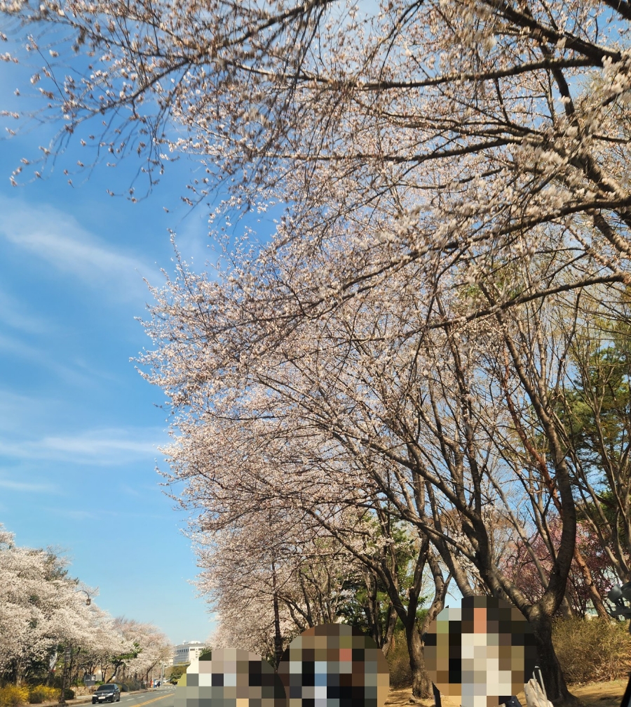 스타벅스경주보문로DT점 이미지