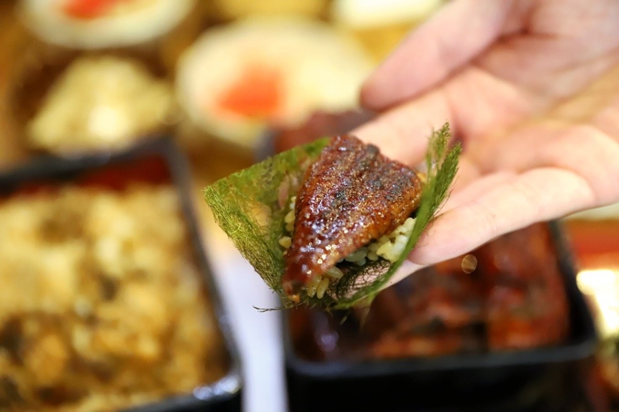 타마 이미지