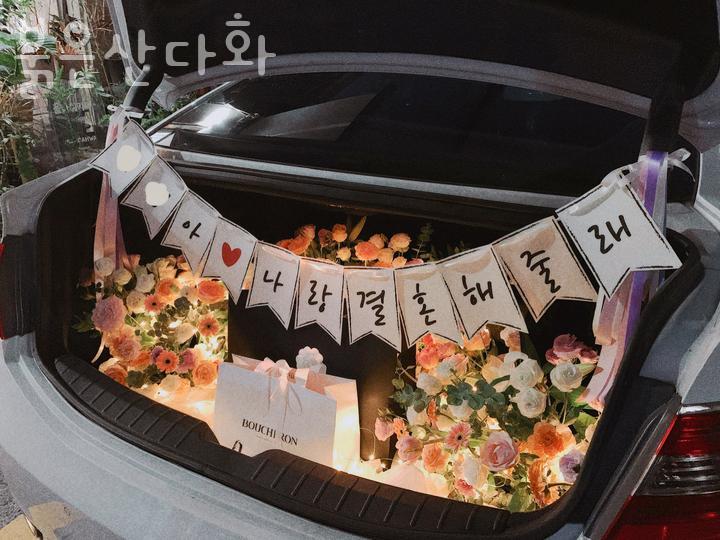 붉은산다화 이미지