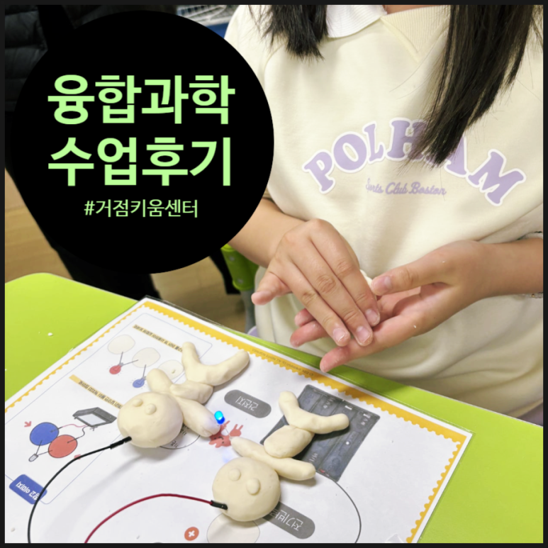오해피데이지 이미지