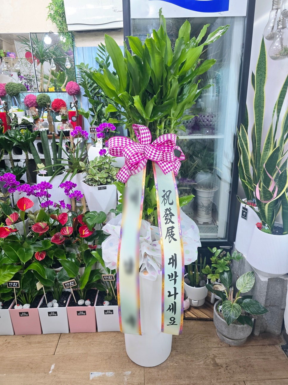 행운꽃화원 이미지