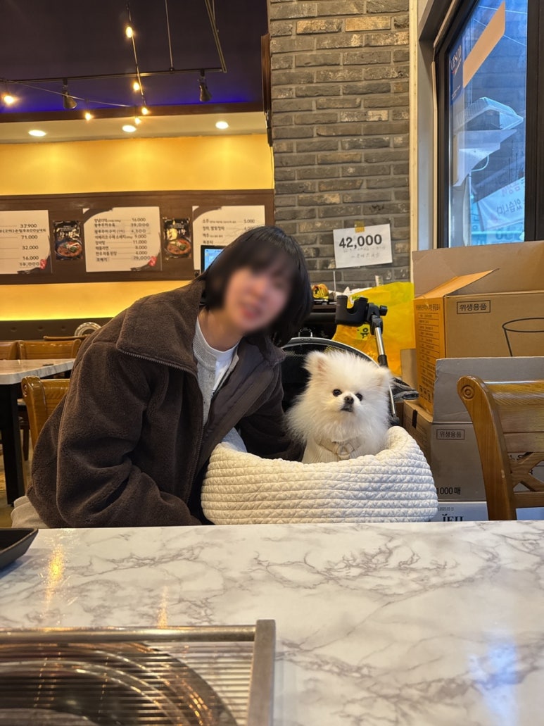 짱돌짚 이미지