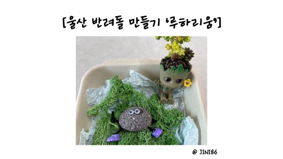 루하리움 이미지