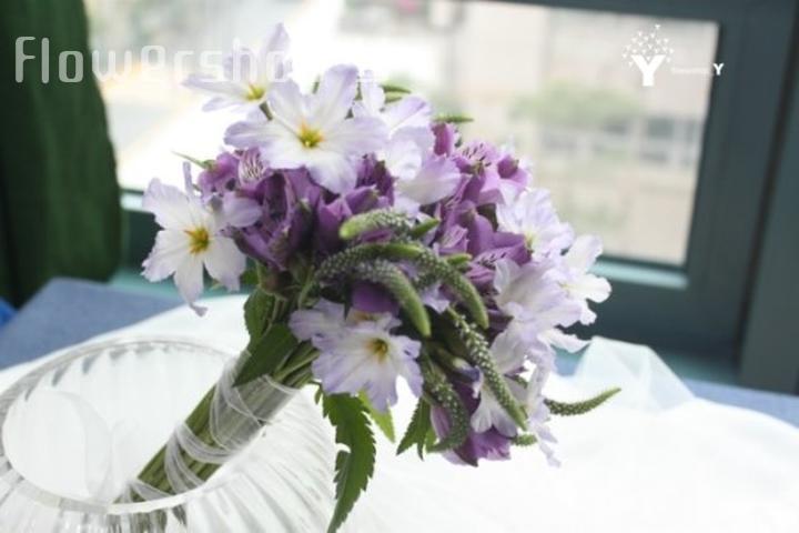 Flowershop 이미지