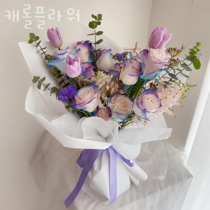 캐롤플라워 이미지