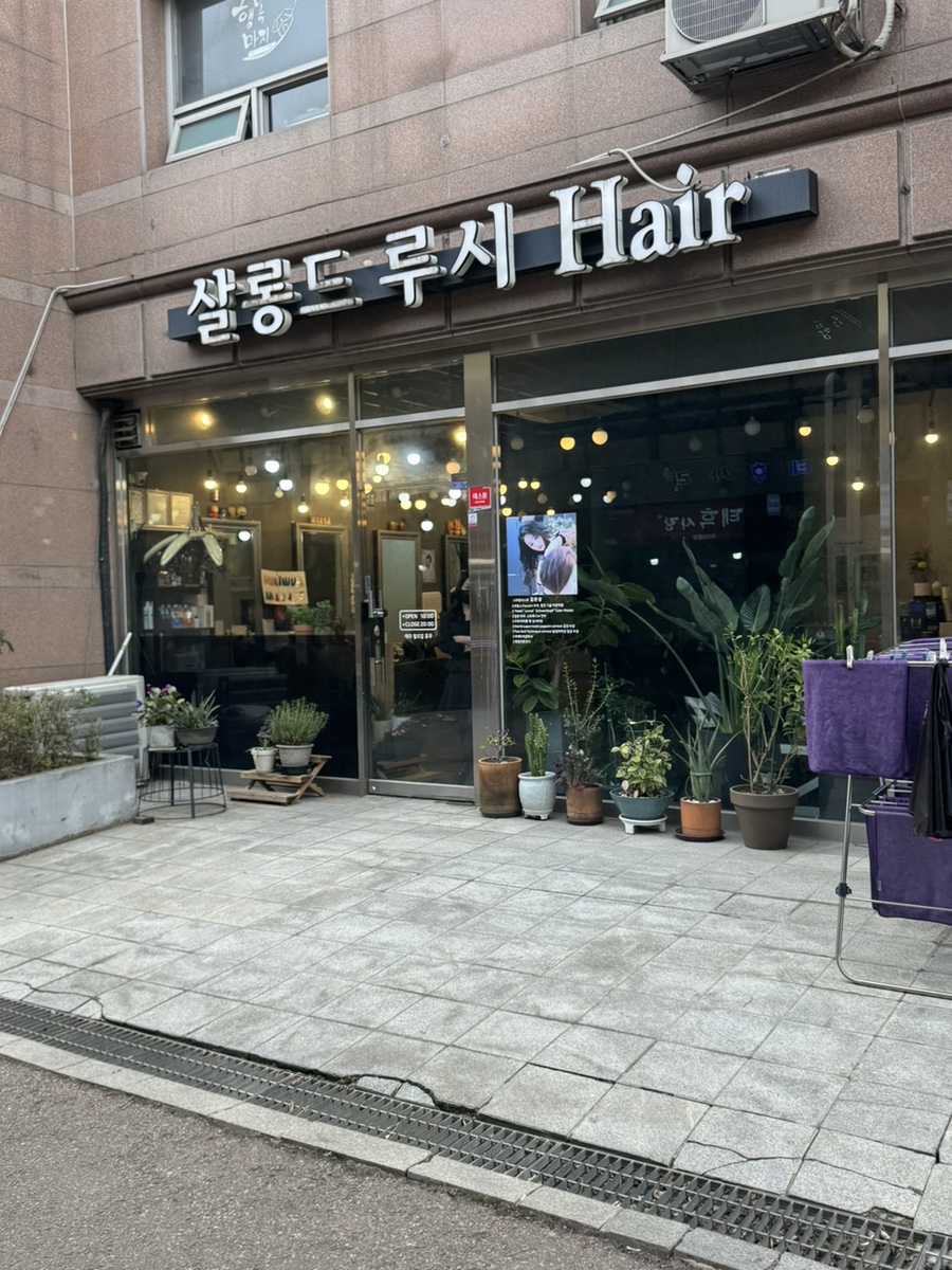 홍주청과 이미지