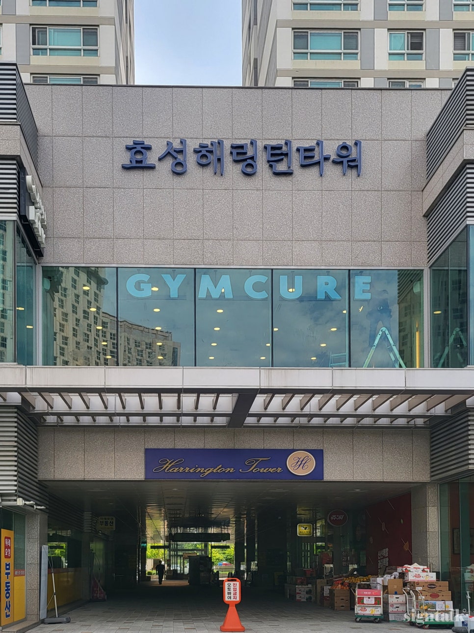 짐큐어 이미지