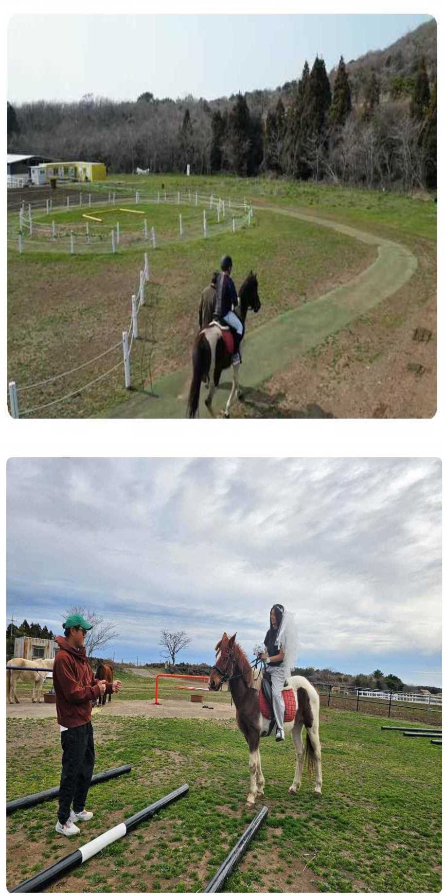 제주토이승마장 이미지