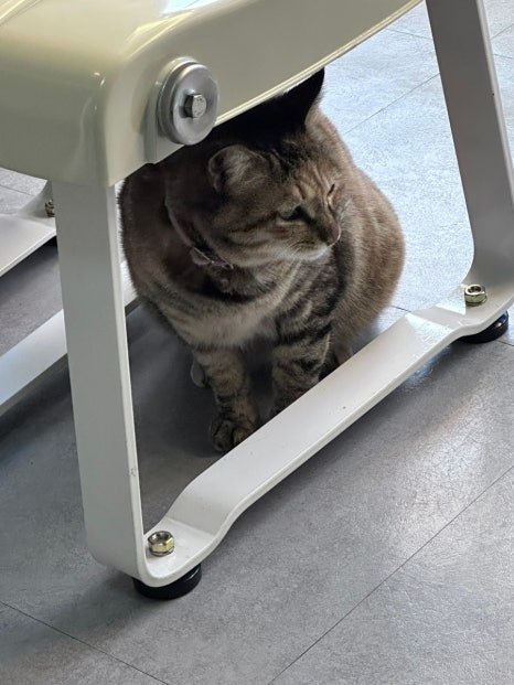 노머트 이미지