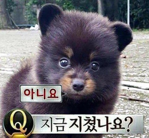 루 이미지
