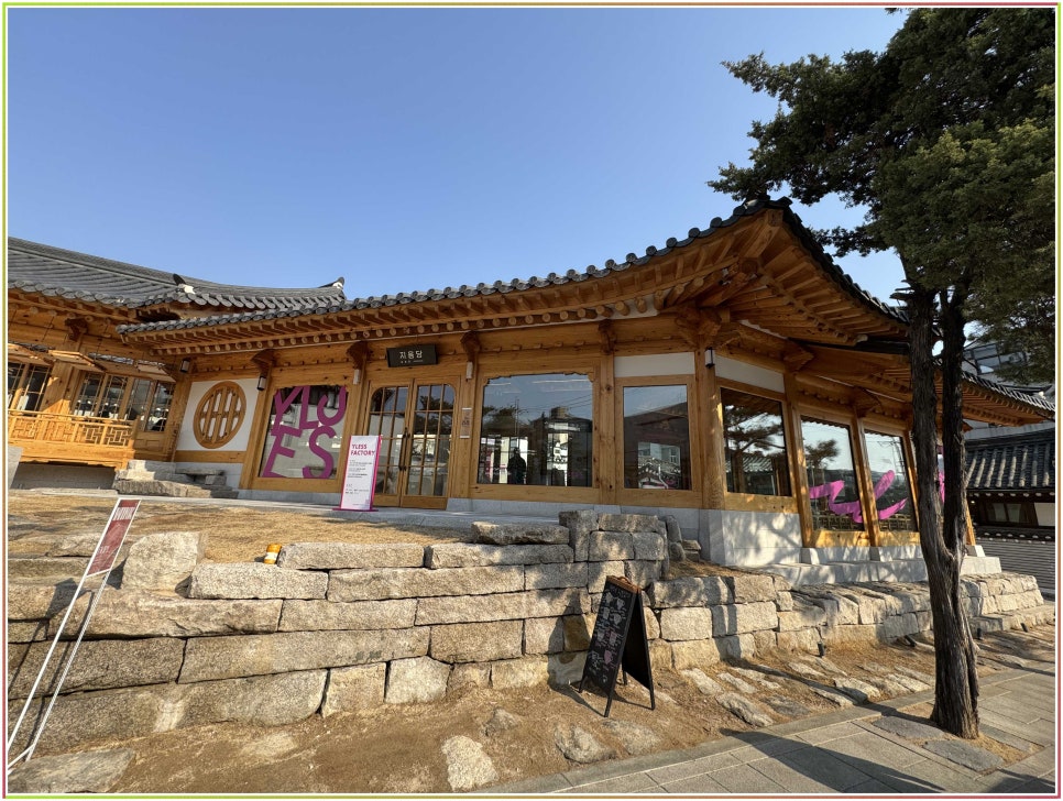 트렌드레스 이미지