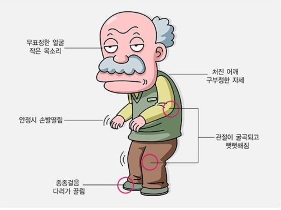 40피티 이미지