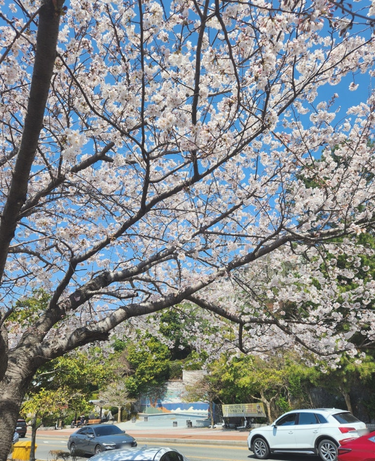 법무법인서린서울남부분사무소 이미지