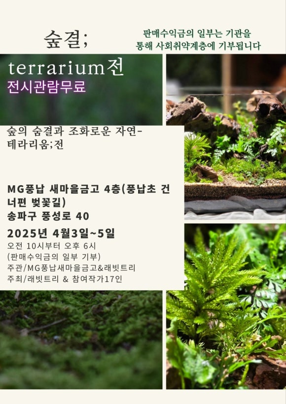 숲결 이미지