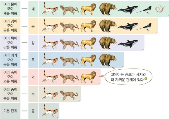 [중1과학]2단원 생물의 구성과 다양성 /2022개정 : 네이버 블로그