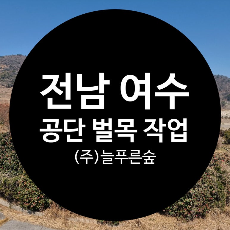 주식회사 푸른나무 이미지