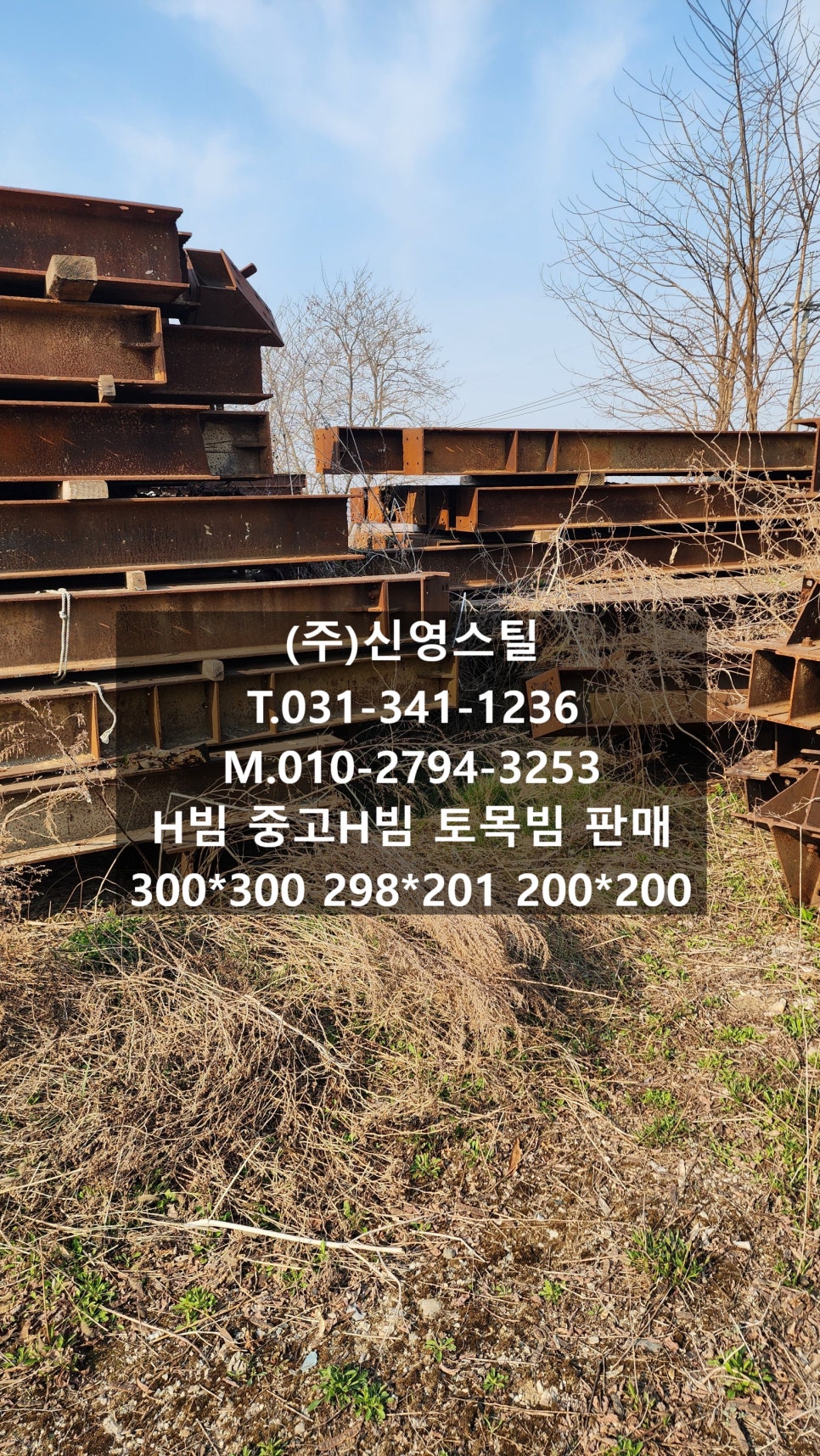단빔 이미지