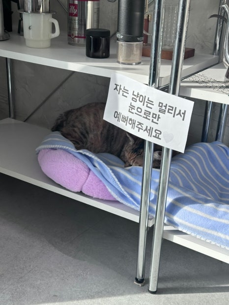 노머트 이미지
