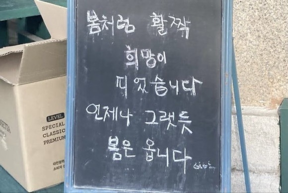 비로소봄 이미지