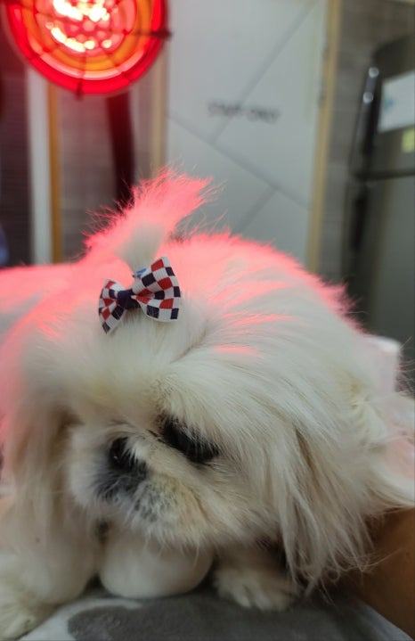 두암한방병원 이미지
