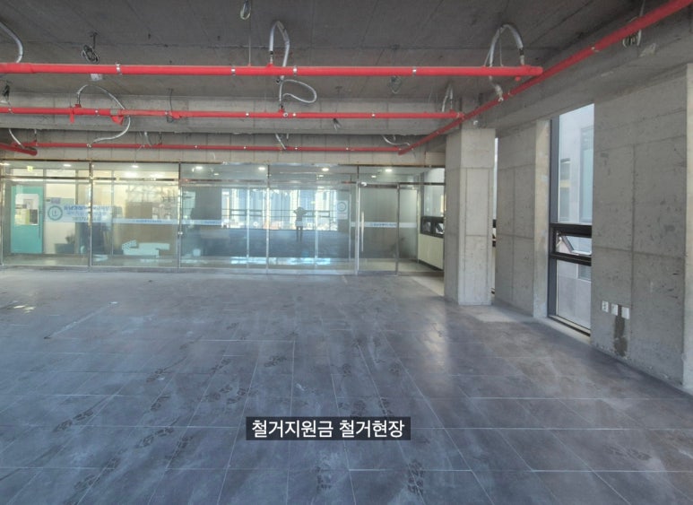 개운인력 이미지