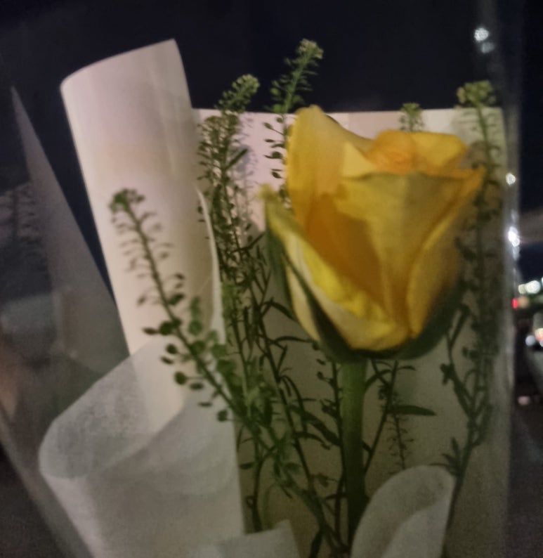 꼬시다;꽃 이미지