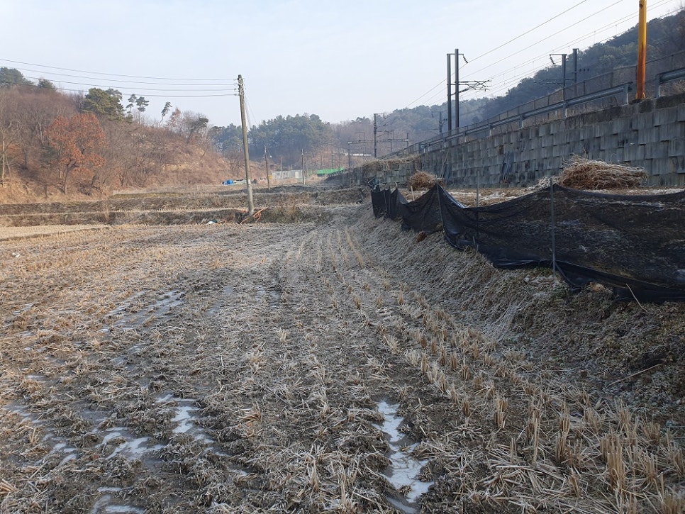 [국도1] 계룡시 광석리 이미지