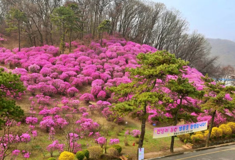 (주)효성 안양공장 이미지