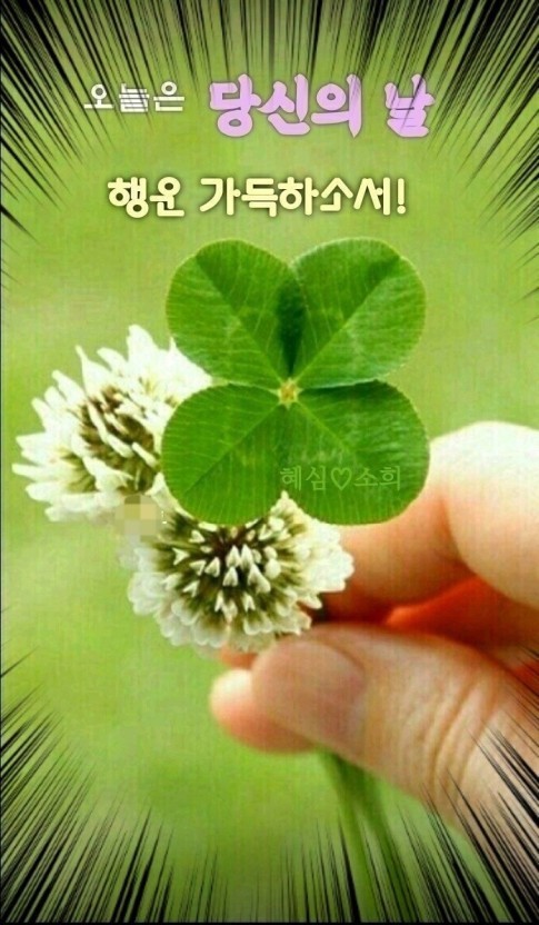 착한빵집 이미지