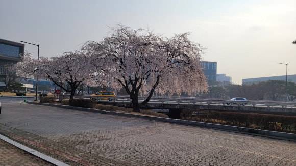 한국과학기술원(서측식당) 이미지