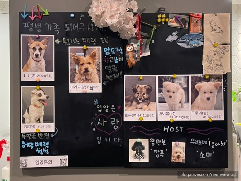 꽃길걷개 이미지