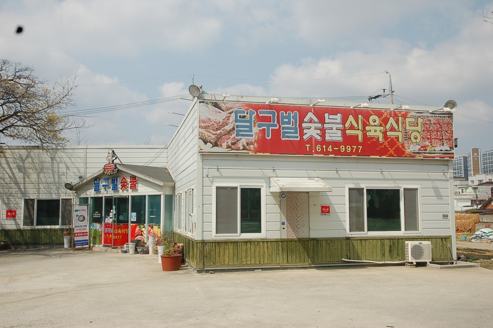 달구벌식당 이미지