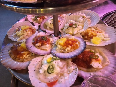 삼바리 이미지
