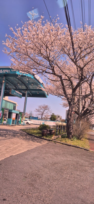 노형주유소 이미지