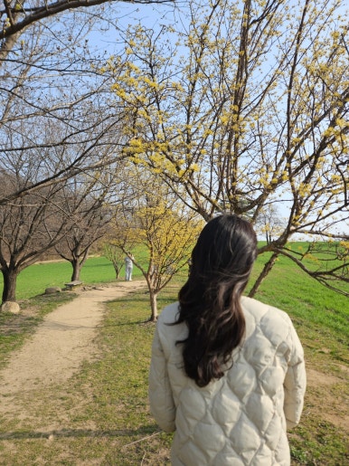 피어라헤어 이미지