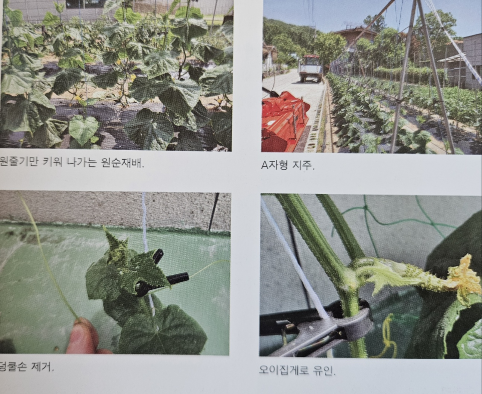 평내인력 이미지
