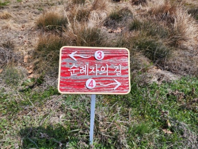 디자인야고보 이미지