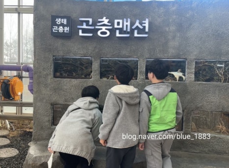 자연교육사 이미지
