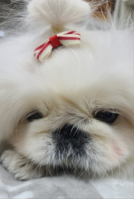 두암한방병원 이미지